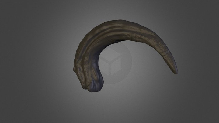 Claw 3D Model