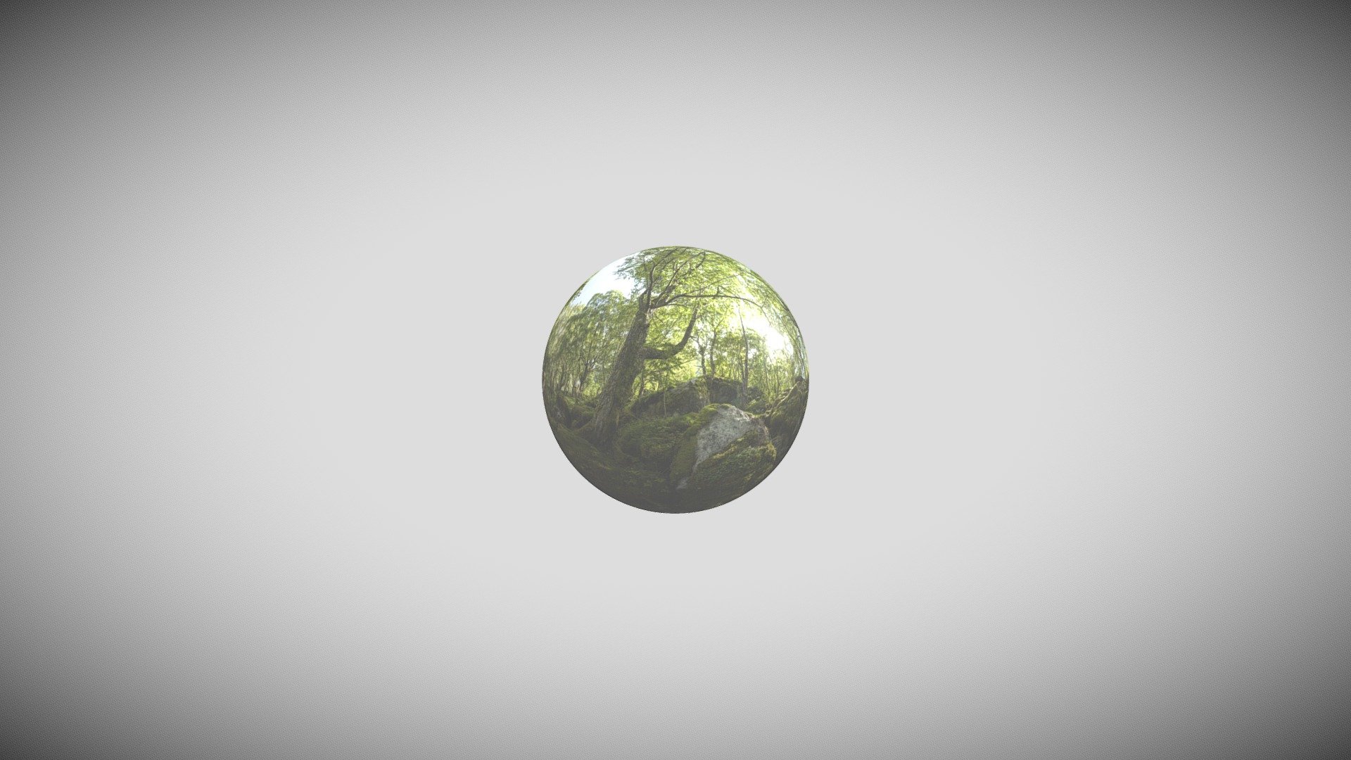 3D Forest
