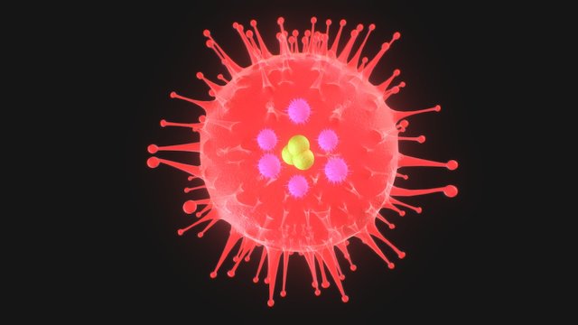 Virus 3D Model