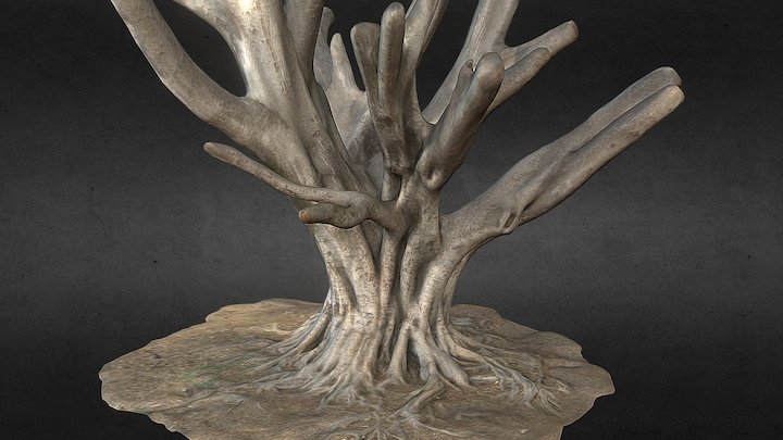Tree Model photogrammetry scan
