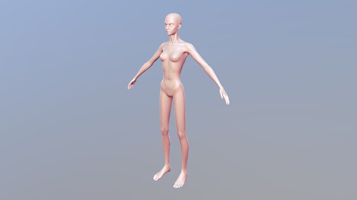 女性人體佈線 3D Model
