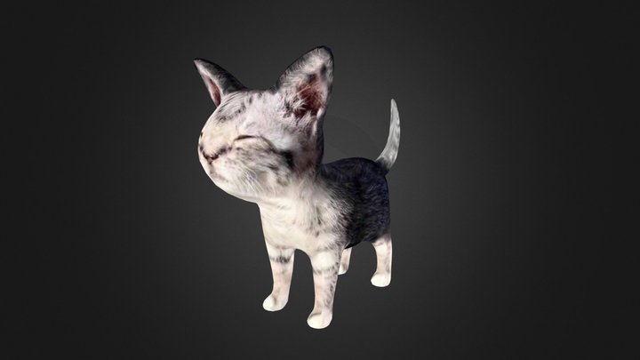 Sunny Kitty 3D Model