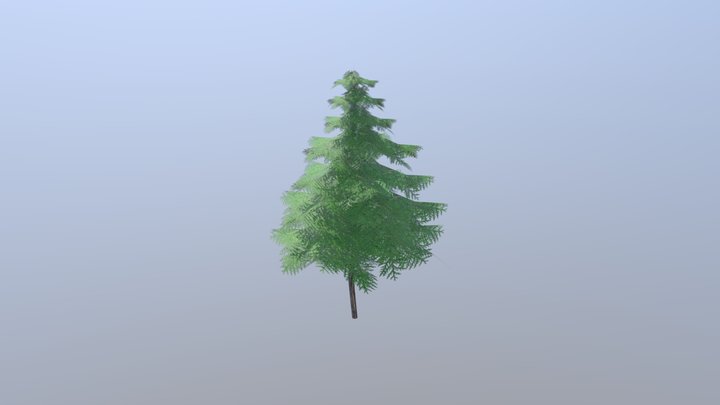 Fir Tree Thing 3D Model