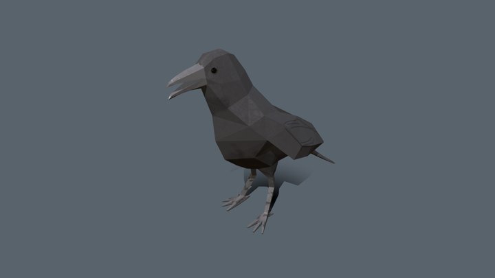 Raven Animation 3D Model