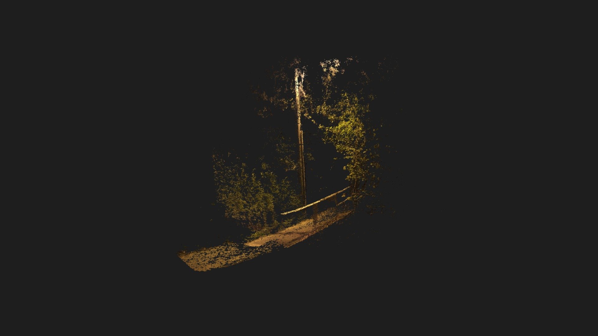 Aro Valley Path Snippet