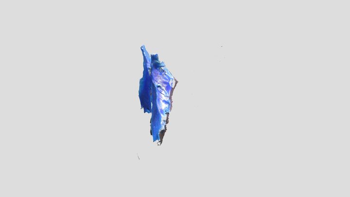 modelo 3 ventrículo cerebro de bobino – Free 3D Model STL