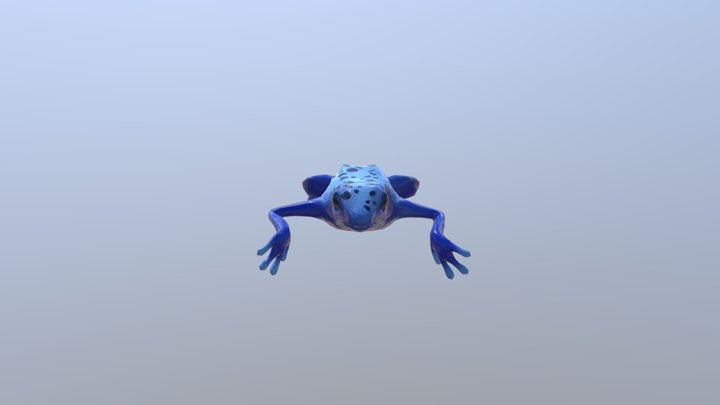Frog Swim 3D Model