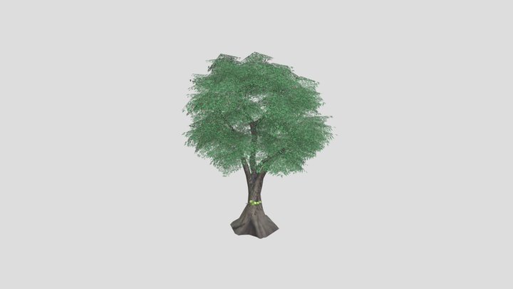 Tree06_Castanopsis_Preview 3D Model