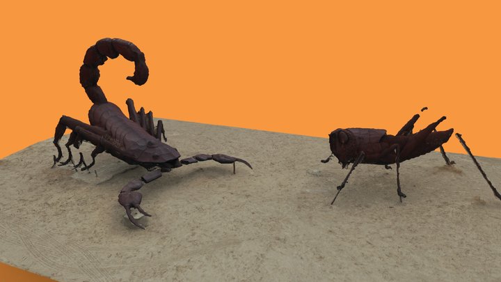 Scorpion & grasshopper 3D Model