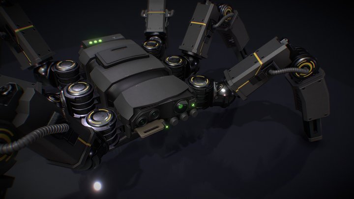 Spy-derBot 3D Model