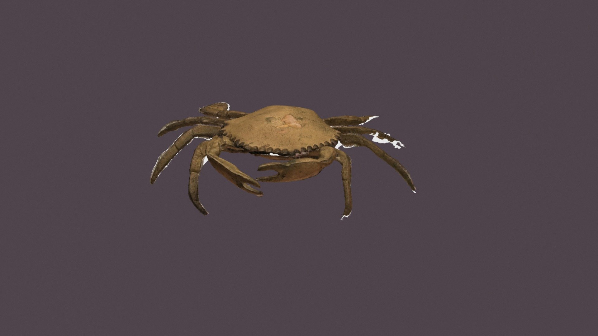 Crab3