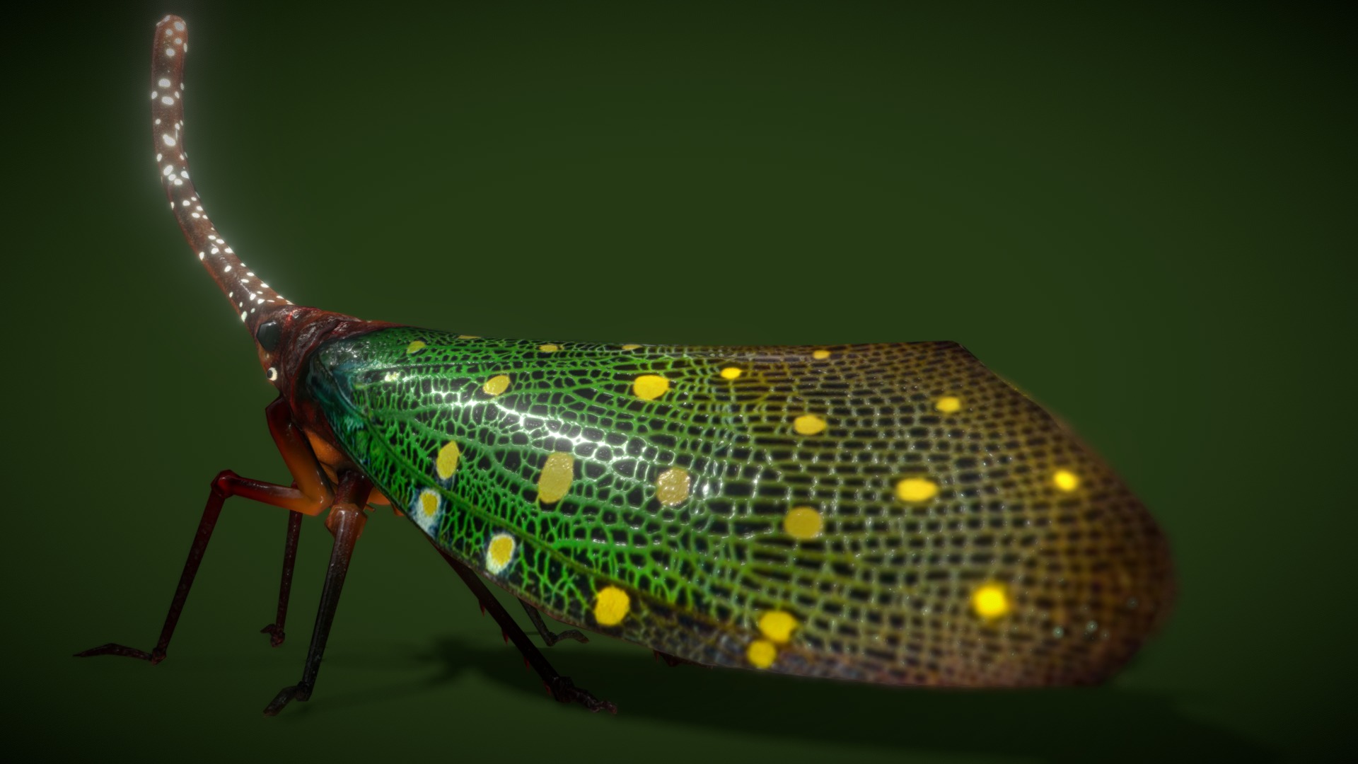 3D model Lanter Lowpolys 3D - This is a 3D model of the Lanter Lowpolys 3D. The 3D model is about a green and black insect.