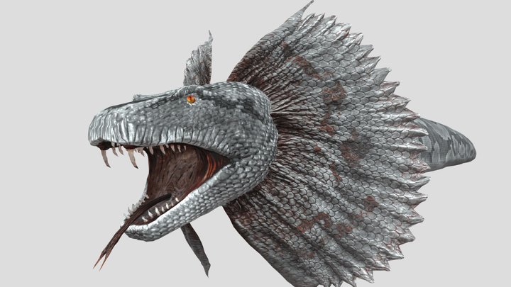 Titanoboa – Free 3D Model STL