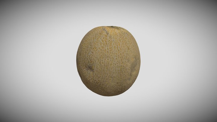 Blind_ Melon 3D Model