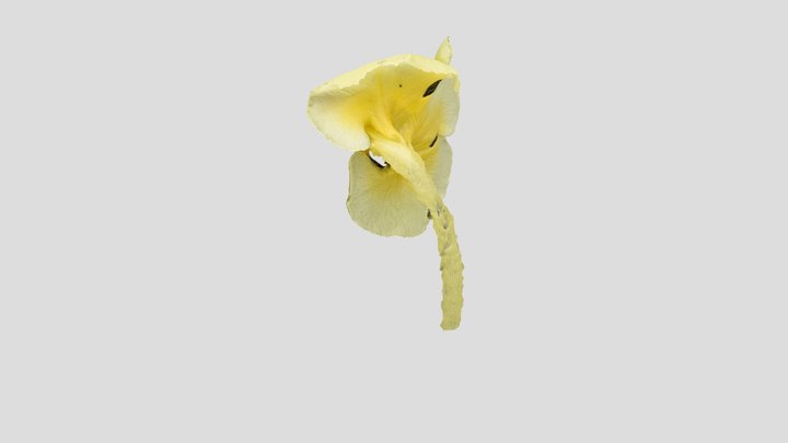 Eaton Lab (@eatonlab) - Sketchfab