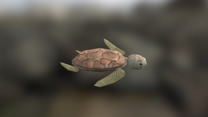 Low Poly Turtle 3D Model