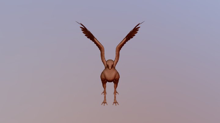 Griffin Model 3D Model