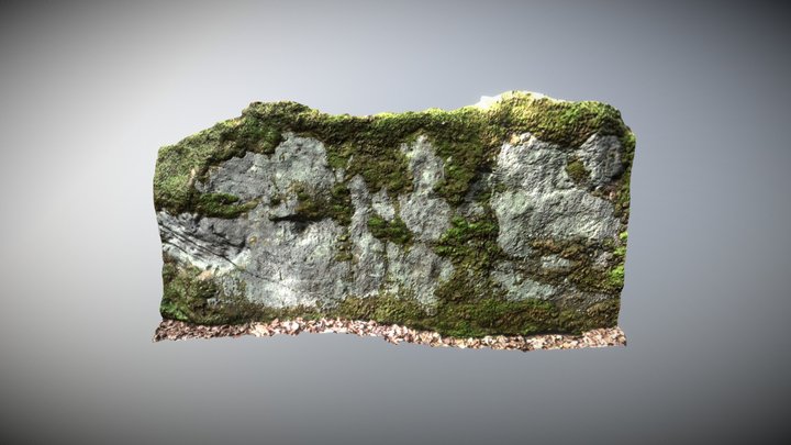 Mossy Rock 02 - Meshroom 3D Model