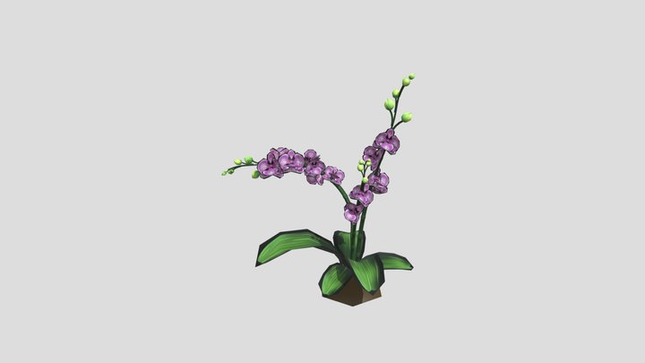 SM_Orchids_CAO 3D Model