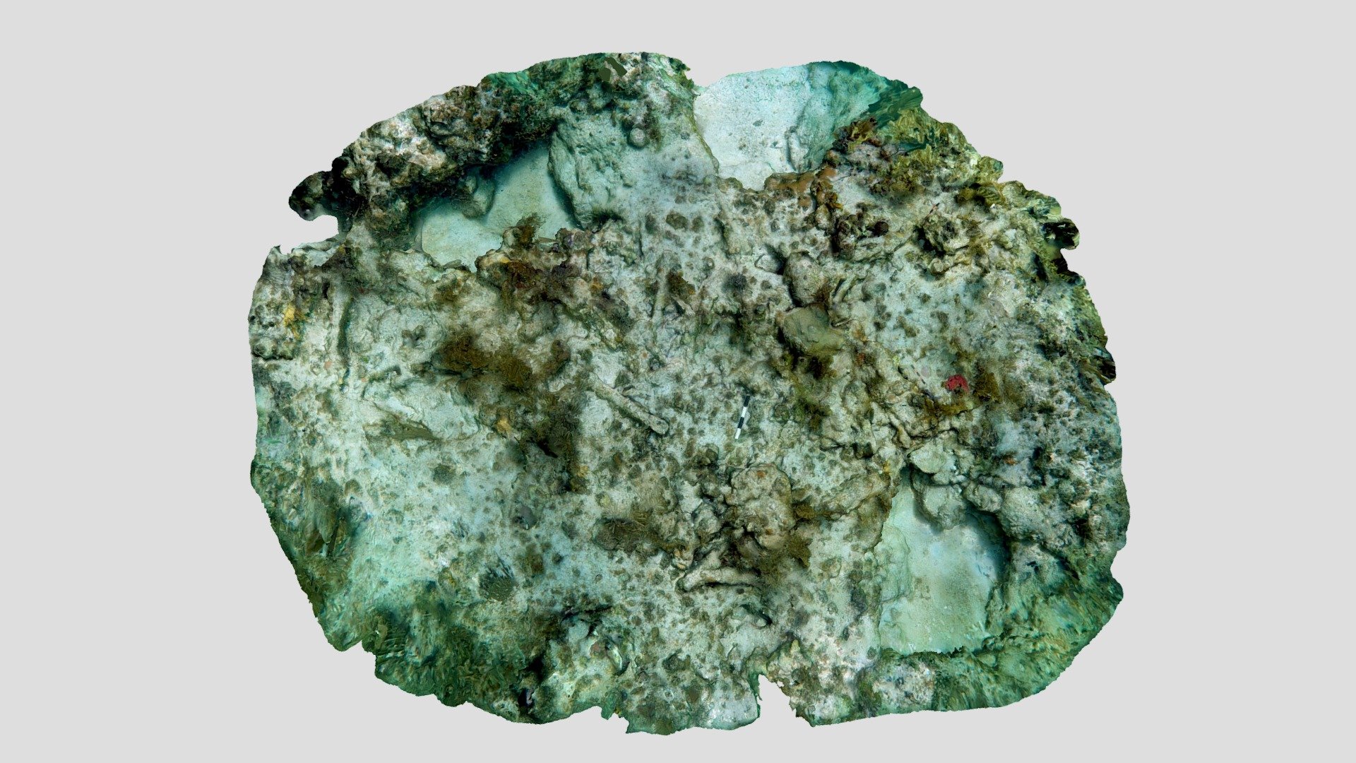 Guerreo Iron Objects Feature No.2 (2019)