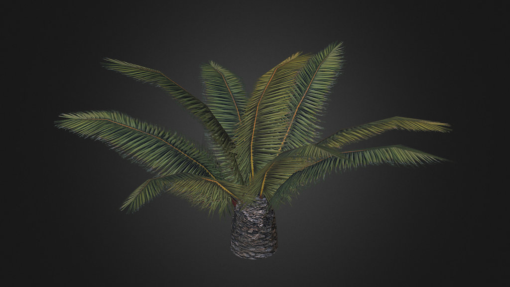 palm-1b