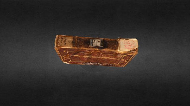 LIbro en piel, pergamino y cartón 3D Model