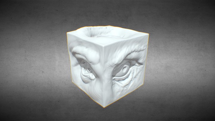 Eye Study Cube 3D Model