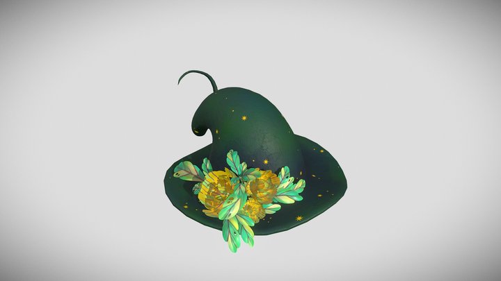 Witch Hat Rigged 3D Model