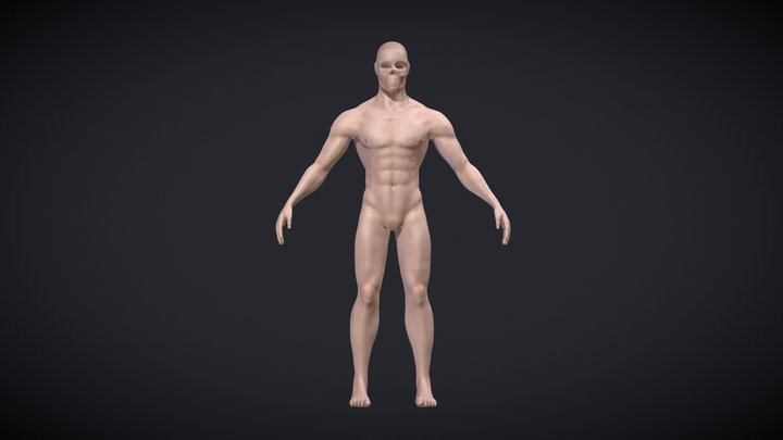 Male Body Base 3D Model