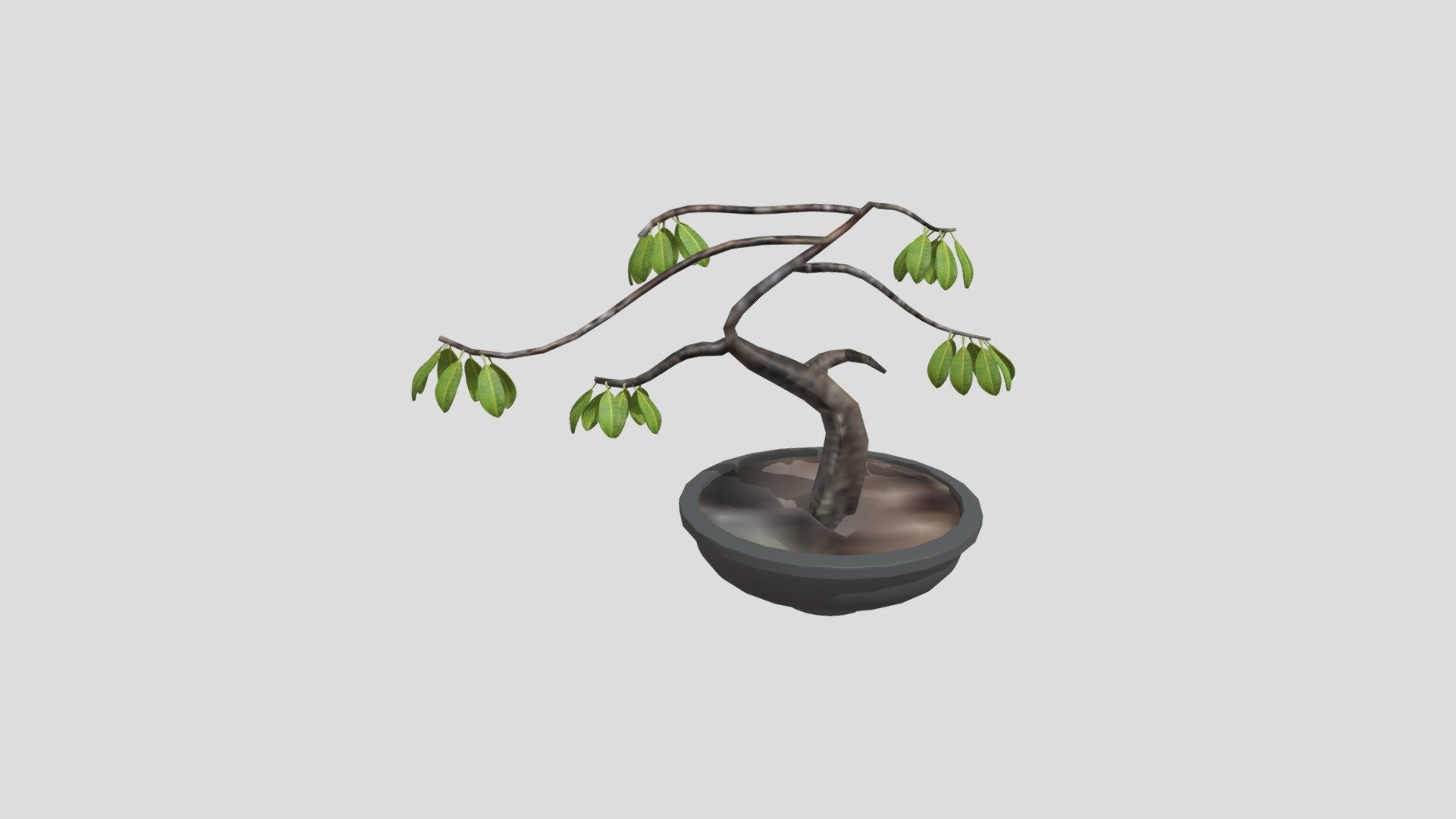 plantwk8