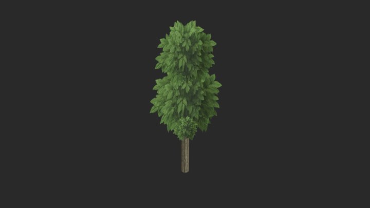 Tree LowPoly 3D Model