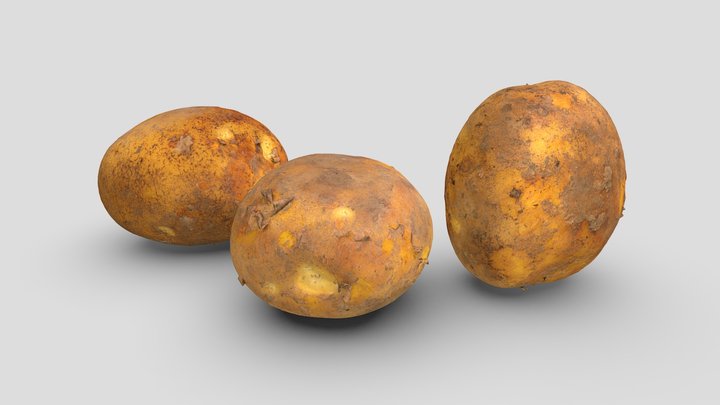 Potato Pack 3D Model