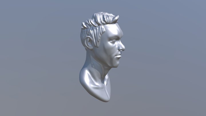Zbrush Sculpture Practice 3D Model