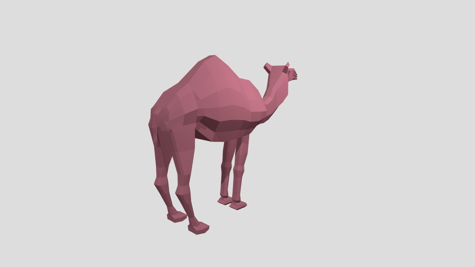Camel - Download Free 3D model by kdev66 [be16353] - Sketchfab