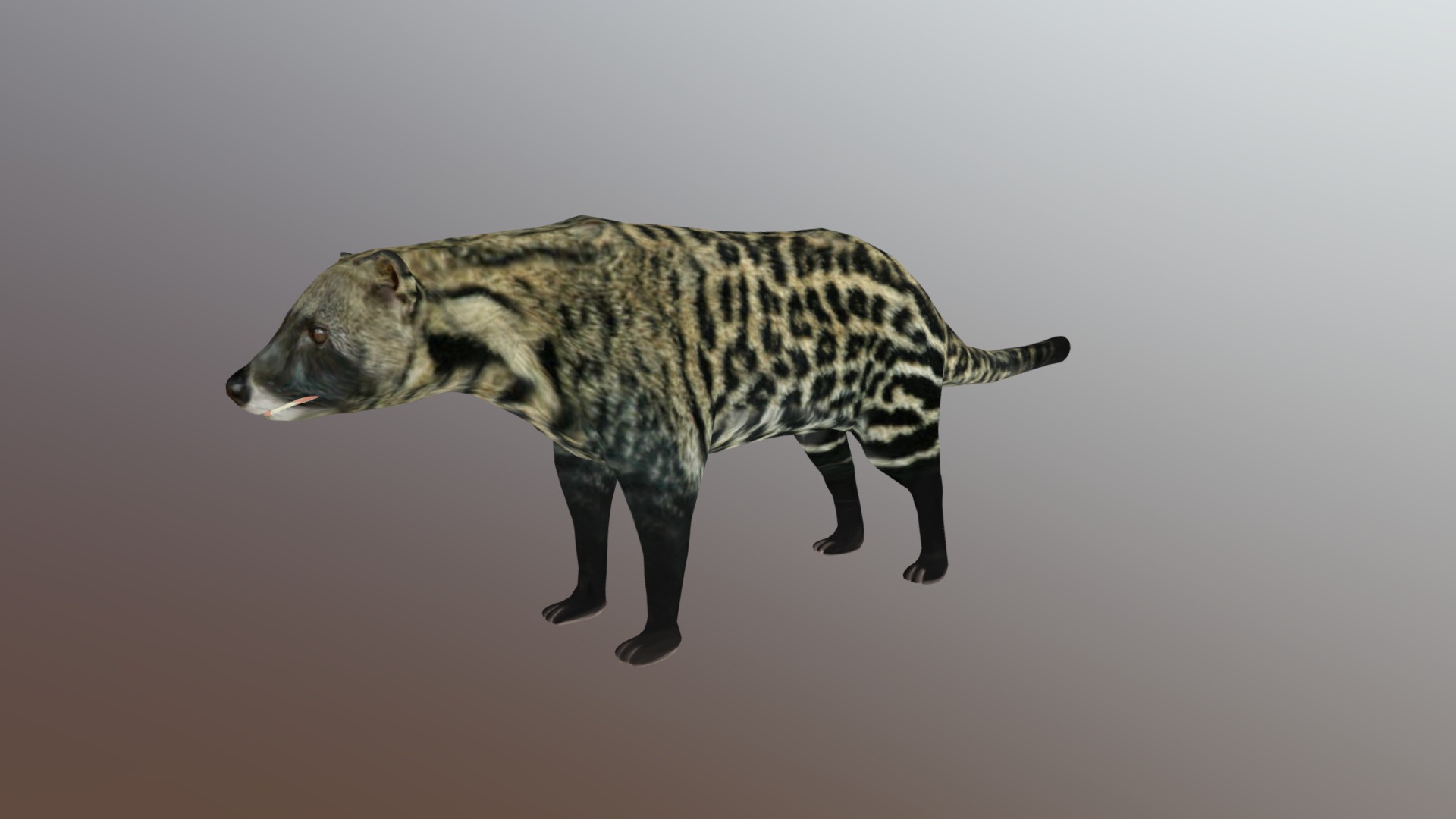 3D model African Civet - This is a 3D model of the African Civet. The 3D model is about a black and white spotted animal.