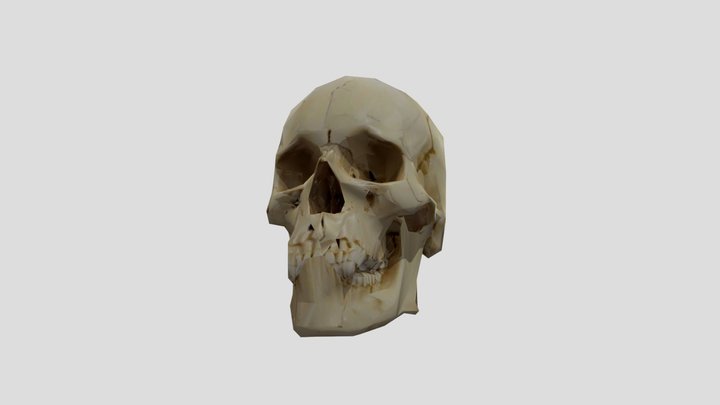 skull granny halloween