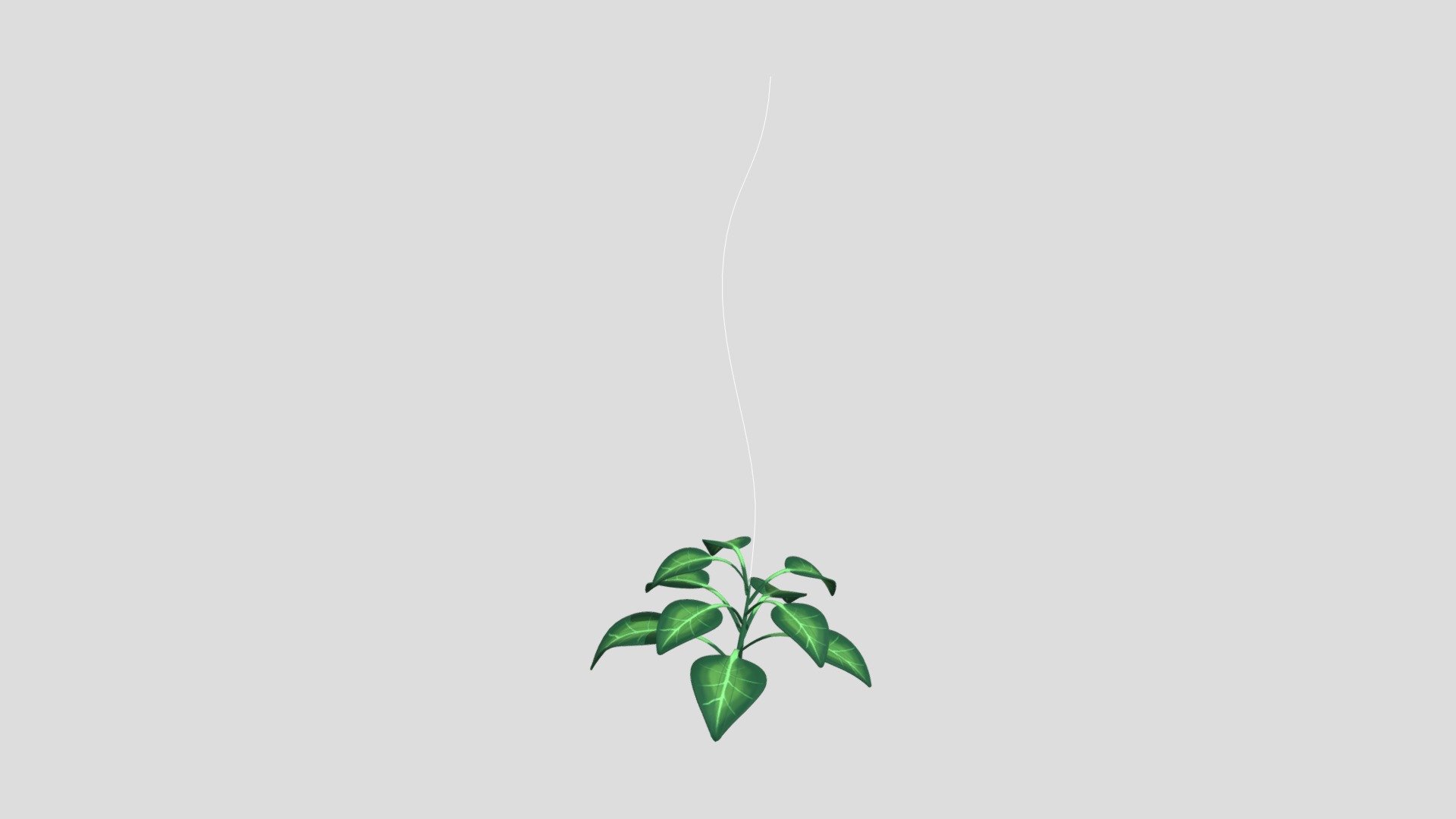 Plant_02