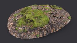 Mossy Rocky Ground