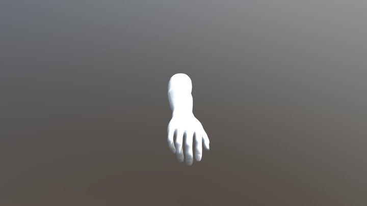Female Hand Right 3D Model