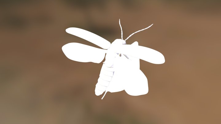 Firefly 3D Model