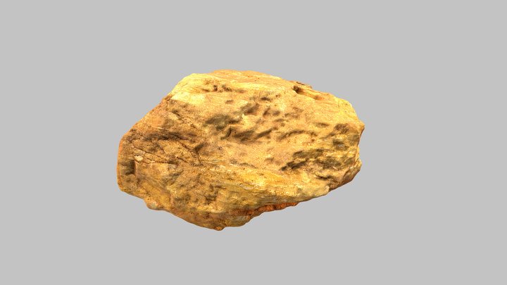 Platy 3D Model
