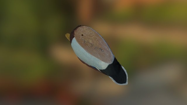 Test 3D Model