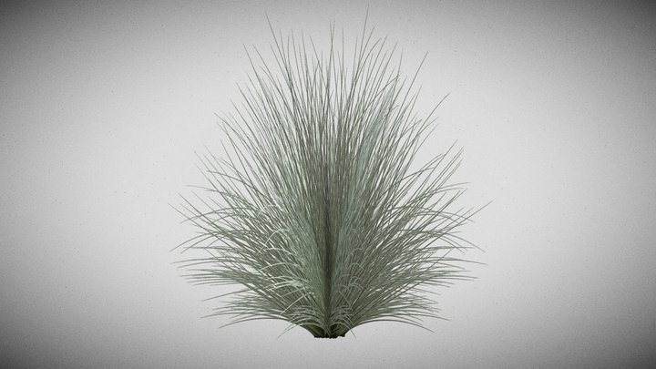 Beard Grass - Low Poly