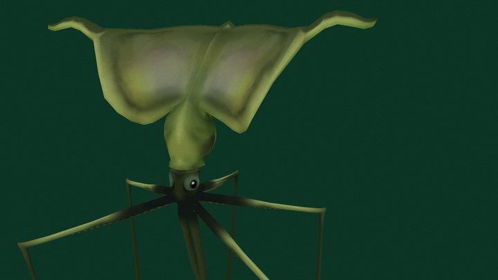 Magnapinna Squid 3D Model