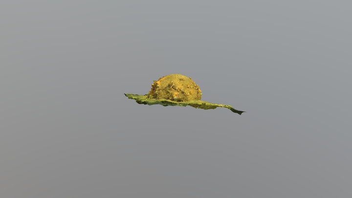 Highball Bomb #03 - draft#1 3D Model