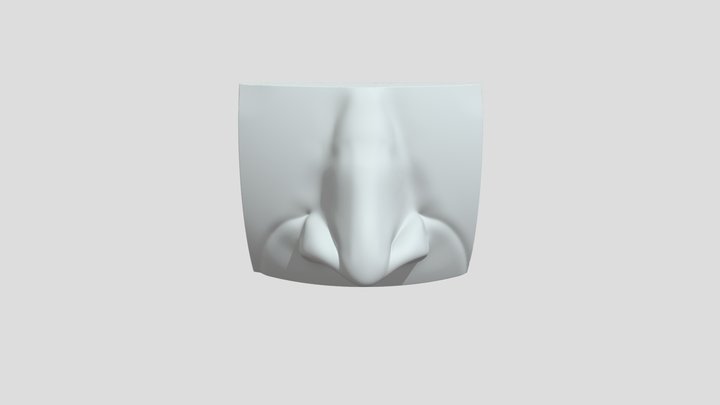 nose export 3D Model