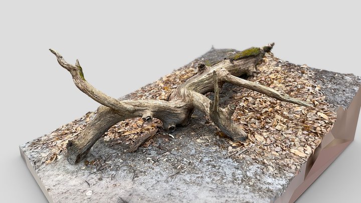 Wood branch – Modelo 3D gratuito STL