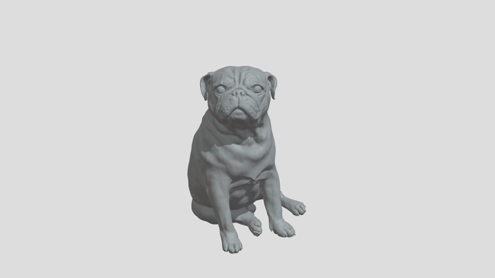 Rocky The Pug 3D Model