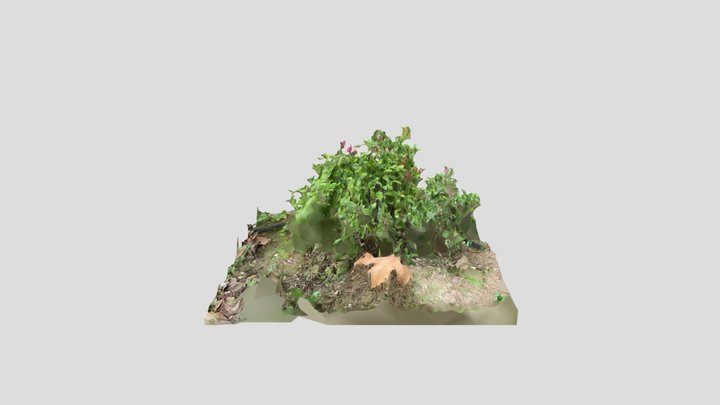 Fleurs - 3 3D Model