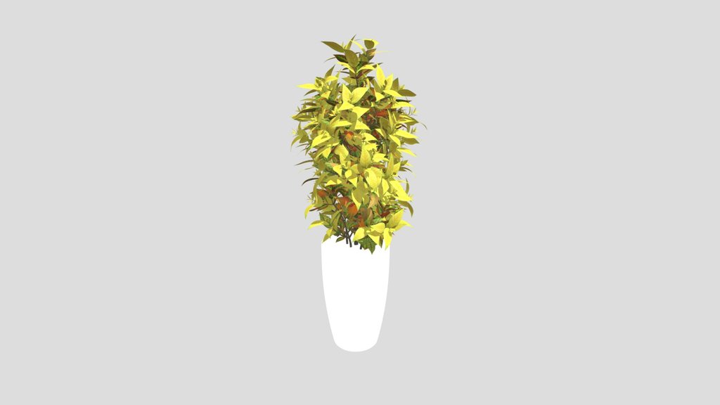 Plant